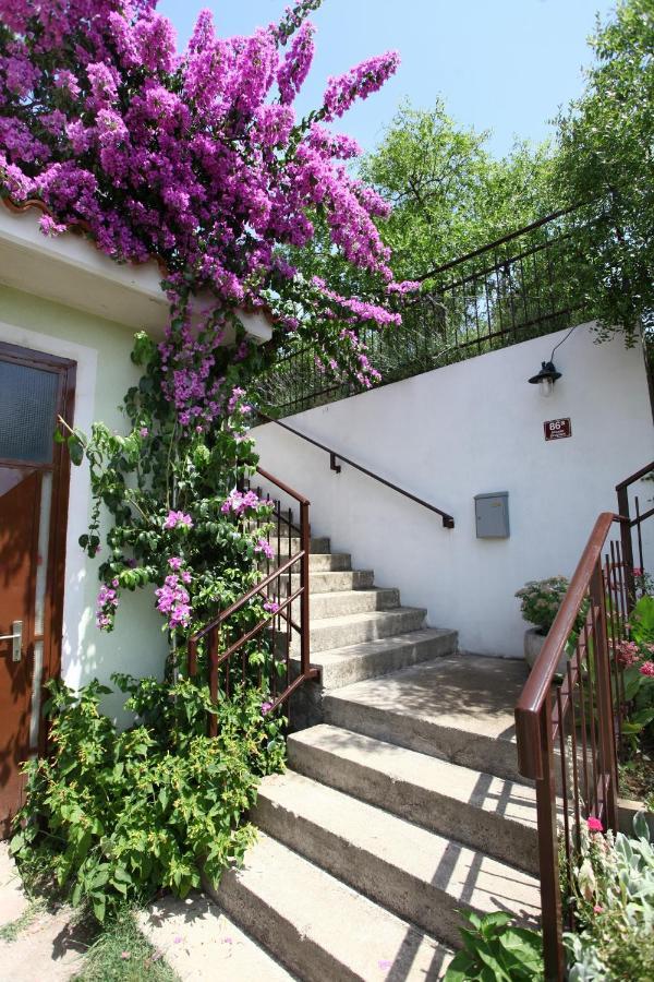 Bozena Studio Kneb Portoroz Ngoại thất bức ảnh